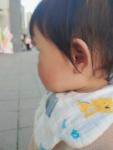 JingXuan 2024S1